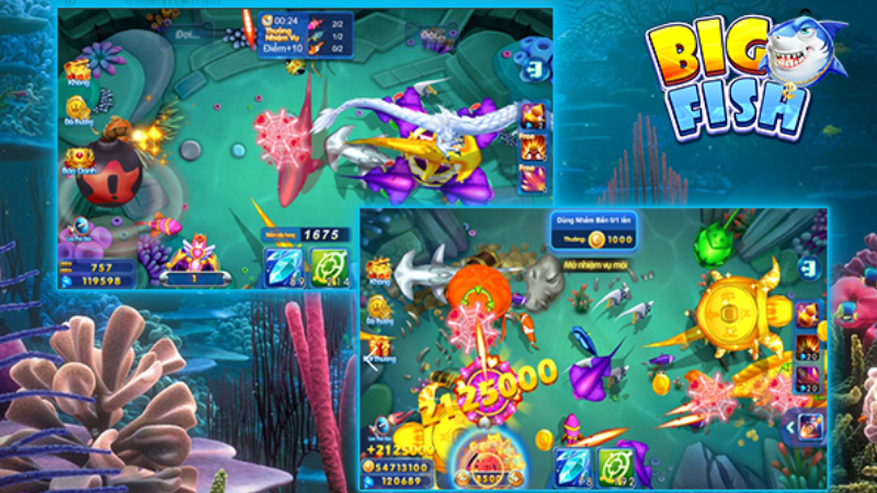 Bắn cá và thu thập điểm số