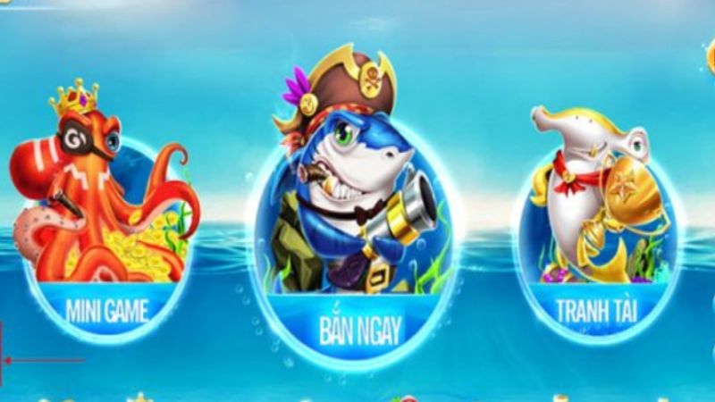 Cân nhắc tình hình và điều chỉnh