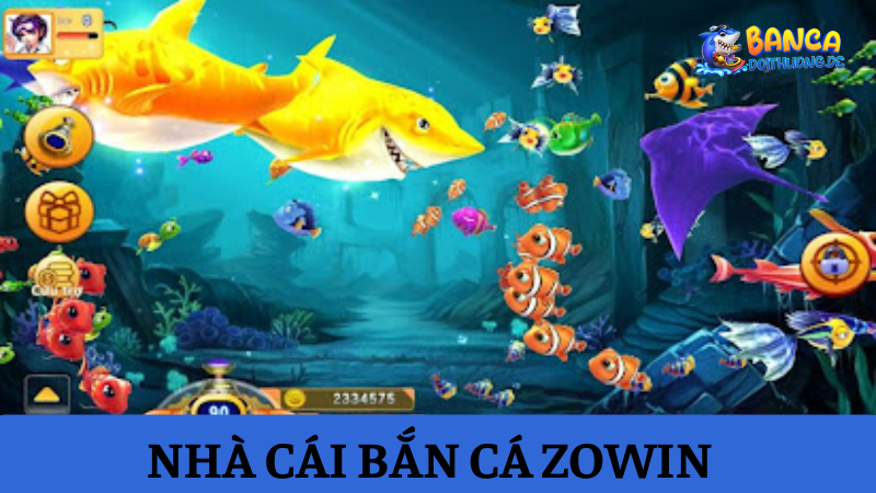 Đánh giá về Zowin
