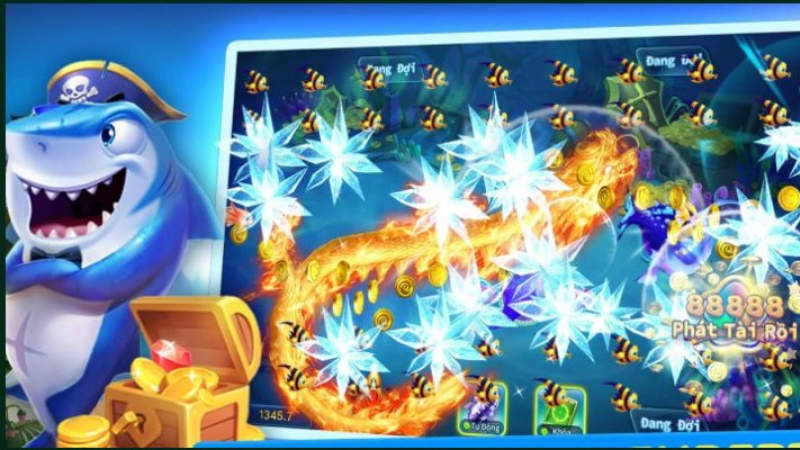 Thực hành và học hỏi kinh nghiệm