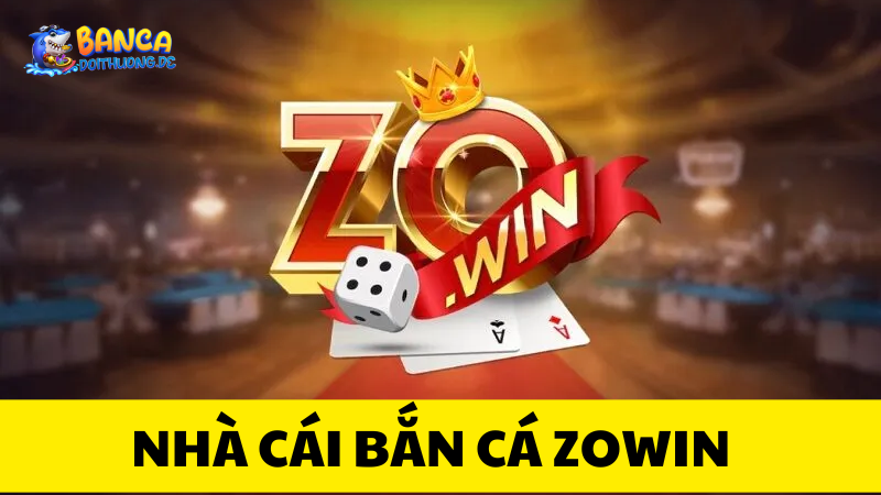 Tổng quan về Zowin